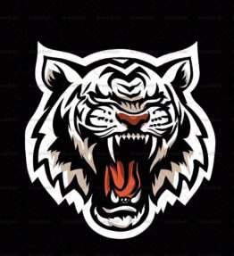 Brüllender Tiger